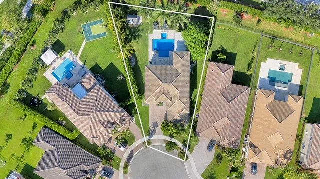 a view of a yard with plants and a trees