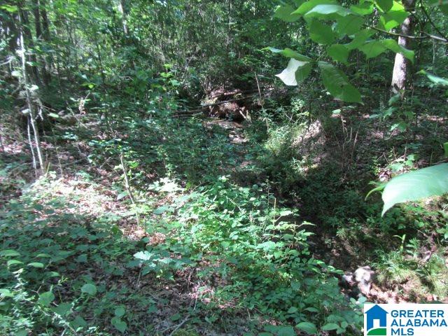 0 Choctaw Trail, Unit 10 Hayden, AL 35079 - Photo 15 of 24