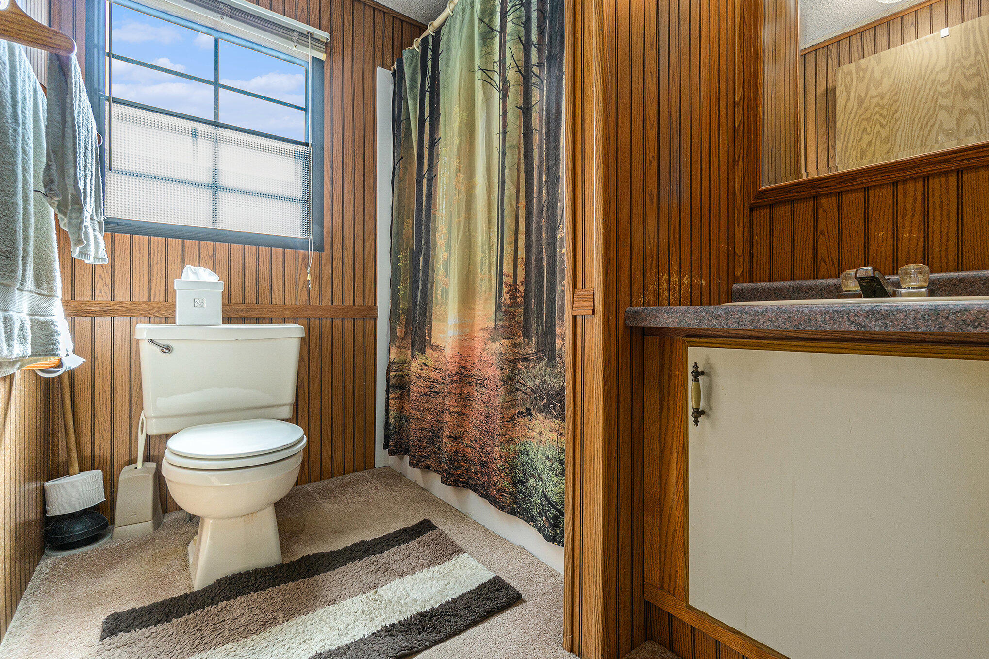 13596 Pleasant View Road Three Rivers, MI 49093 - Photo 18 of 19 Hall Bathroom
