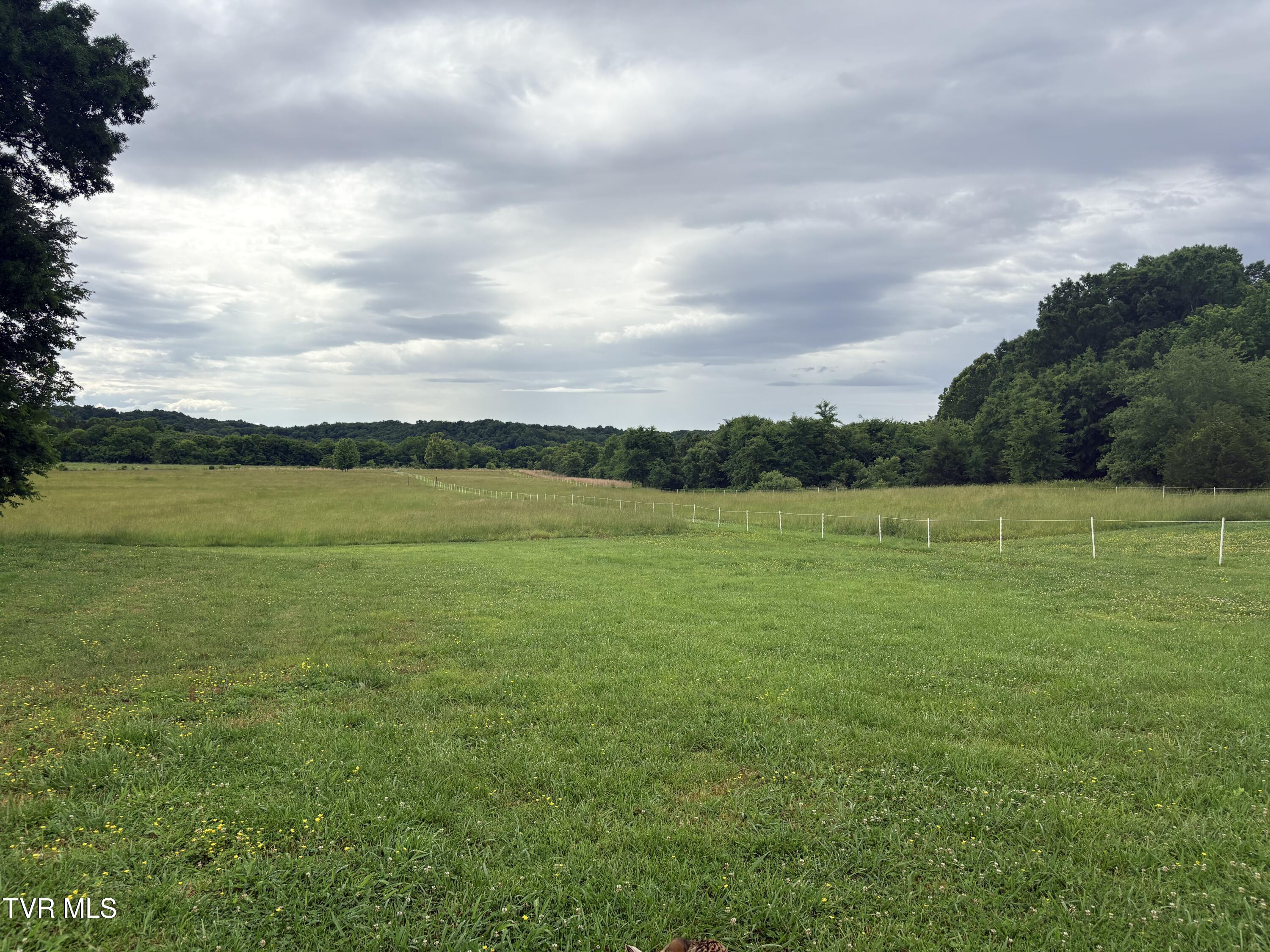 830 Toby Road Mohawk, TN 37810 - Photo 25 of 67 IMG_9887