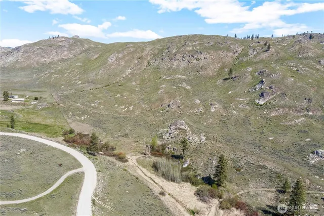 a view of a dry yard