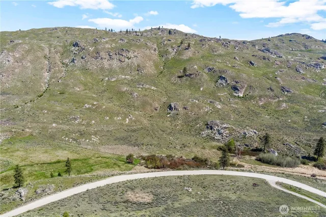 a view of a dry yard with green space