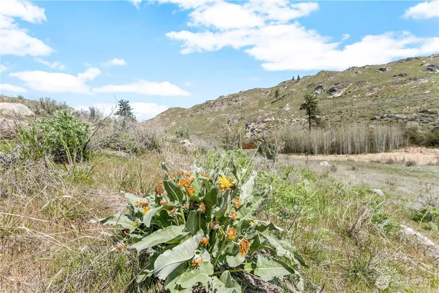 a view of a lake from a mountain