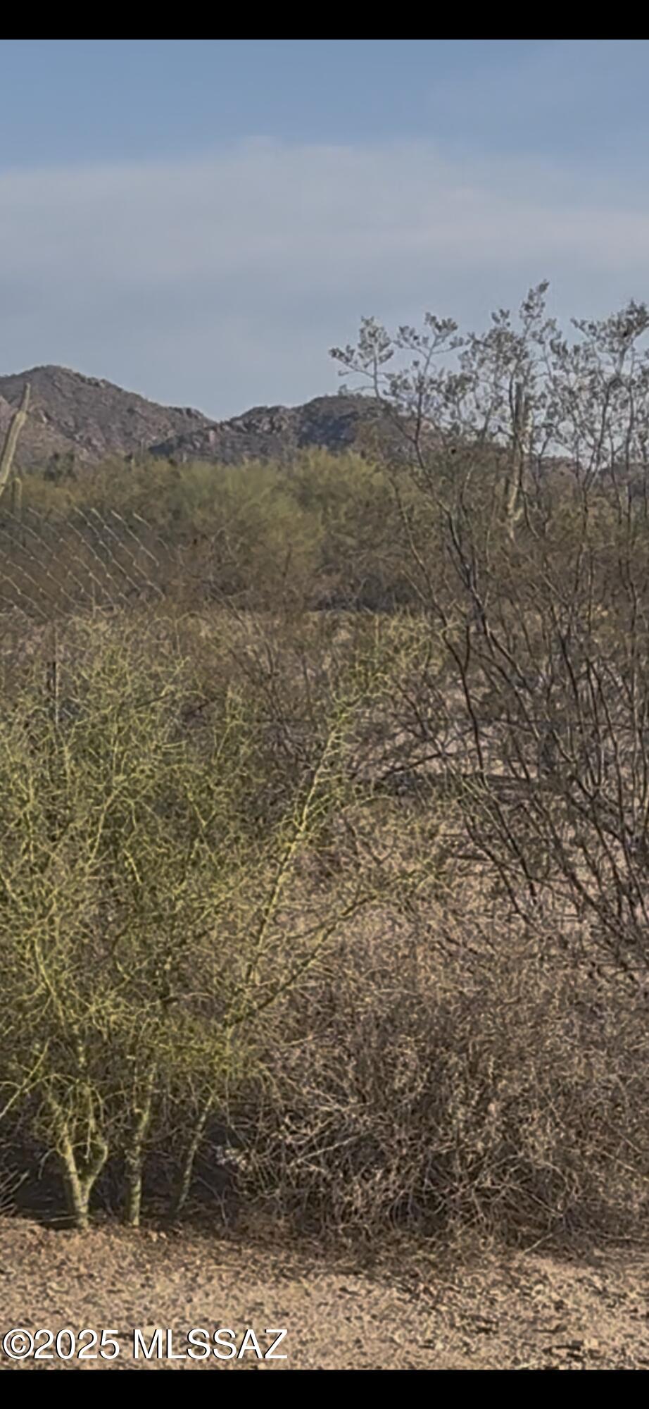 12411 West Sunset Road, Unit 1 Tucson, AZ 85743 - Photo 12 of 17