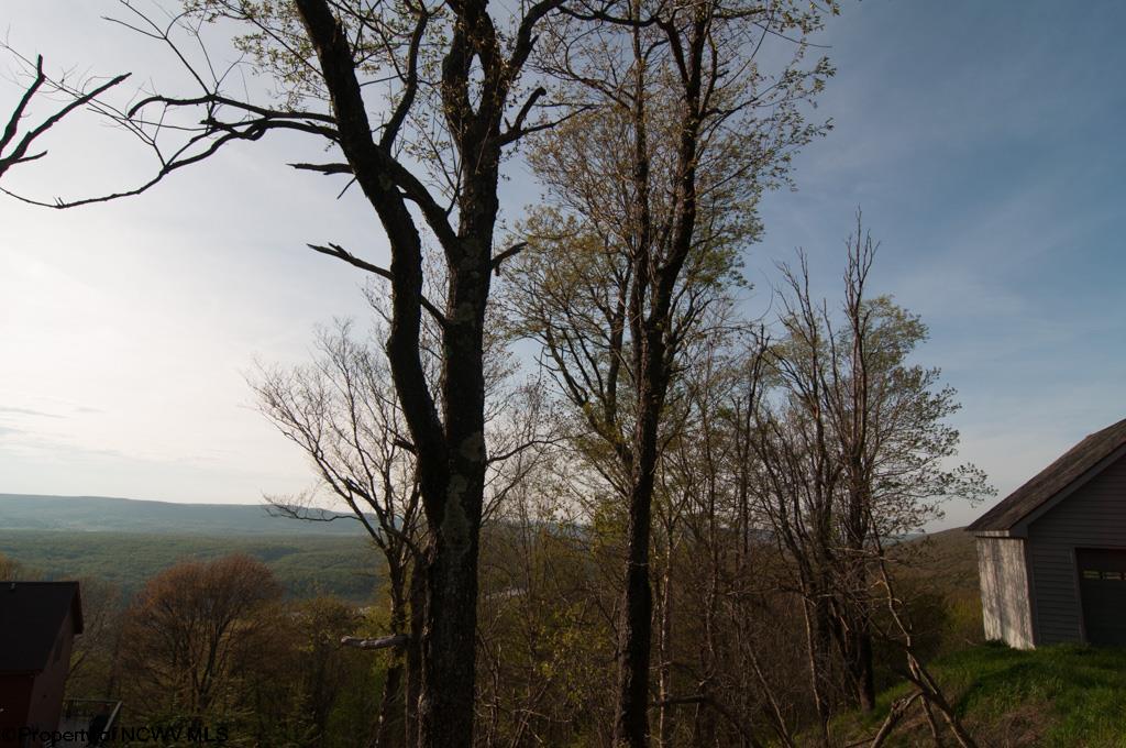 11 Mountainside Road Davis, WV 26260 - Photo 18 of 18 Gallery Image 18
