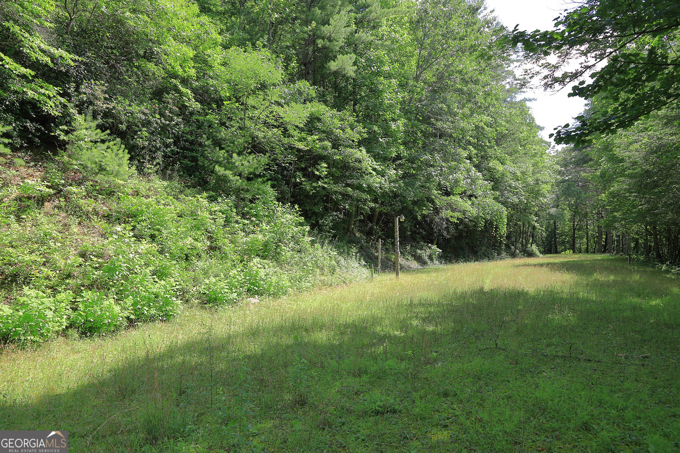 29 Cool Spring Lane Clayton, GA 30525 - Photo 11 of 15 a view of outdoor space and yard
