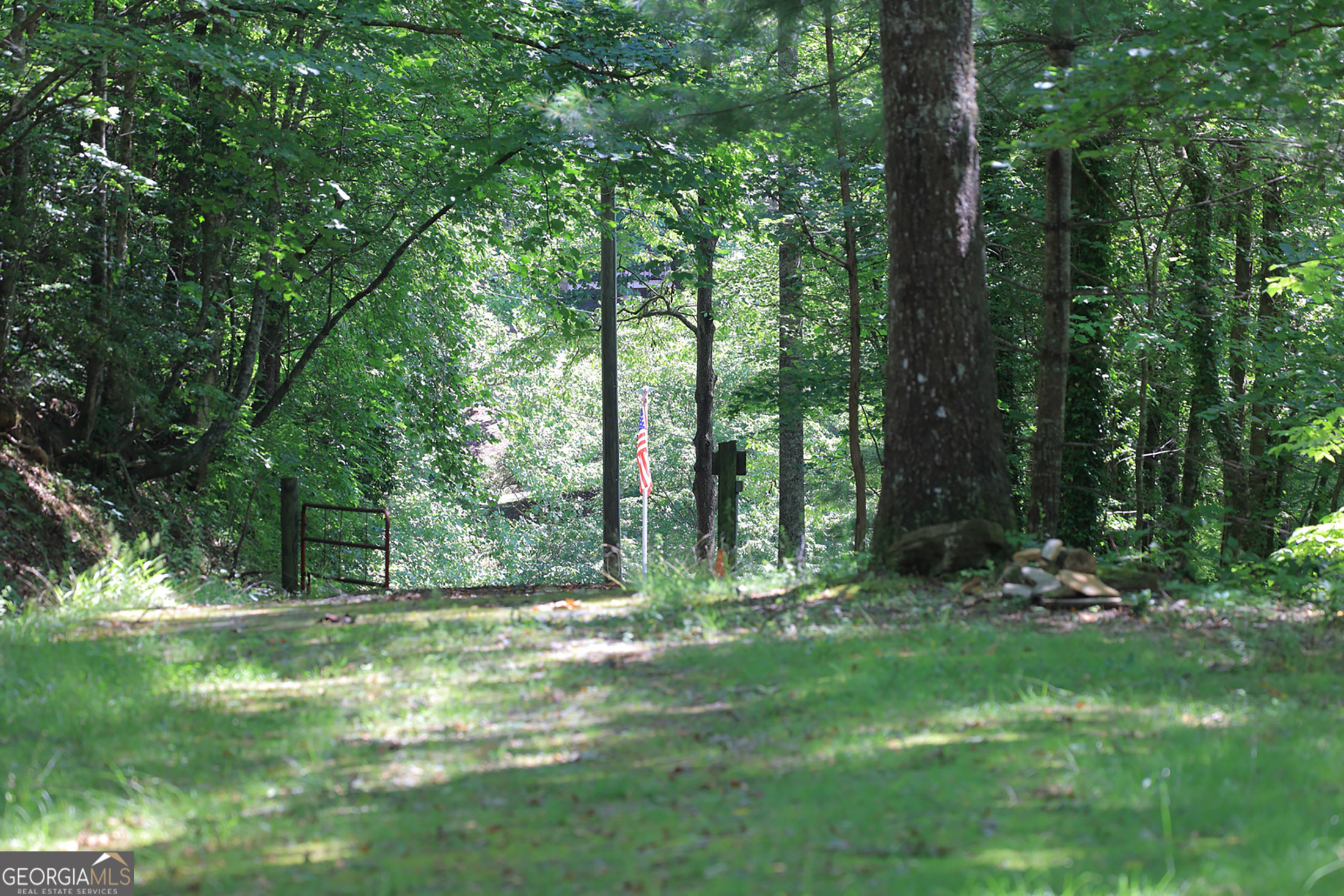 29 Cool Spring Lane Clayton, GA 30525 - Photo 3 of 15 a view of outdoor space with trees all around