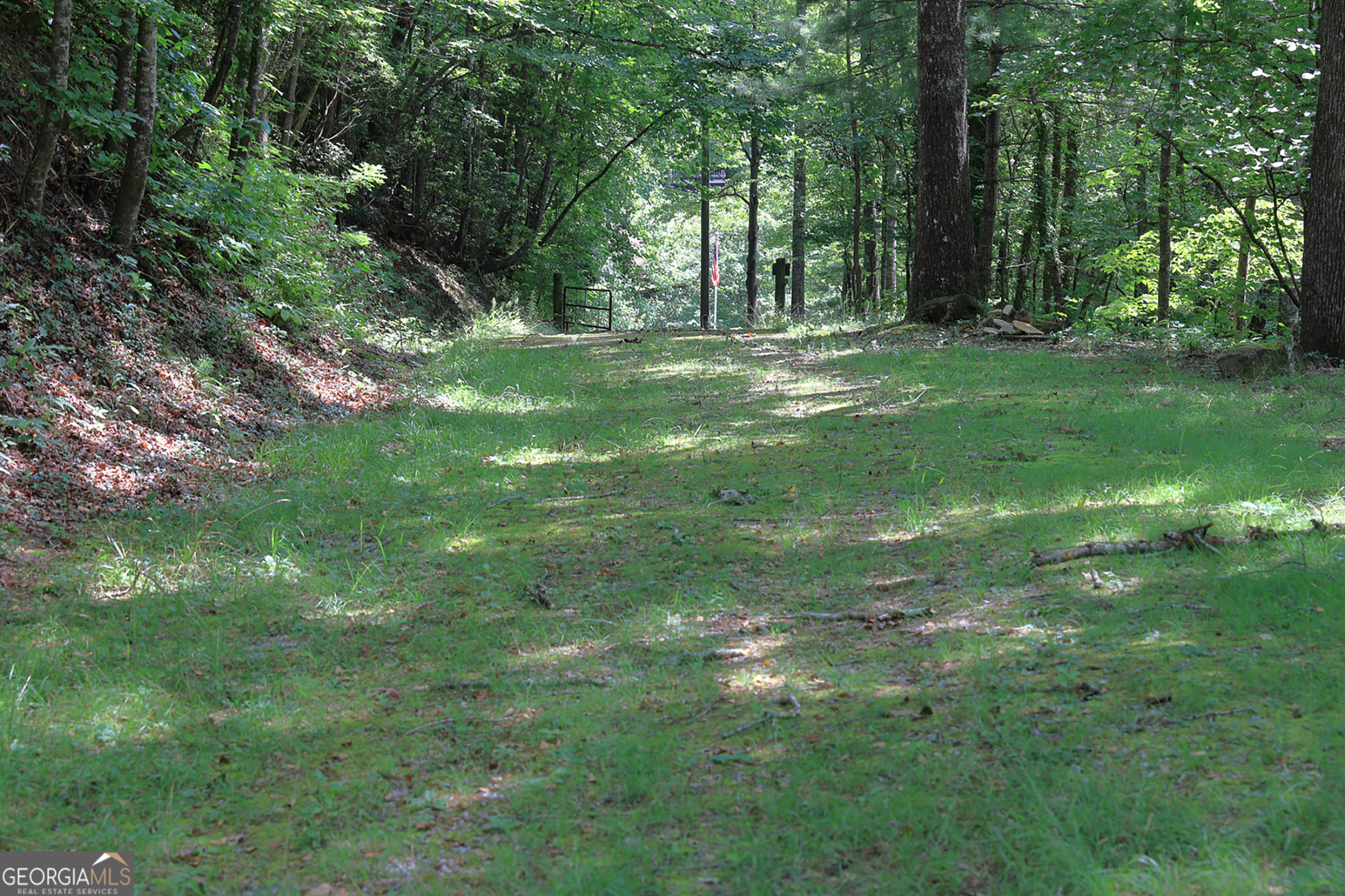 29 Cool Spring Lane Clayton, GA 30525 - Photo 4 of 15 a big yard with lots of green space and trees