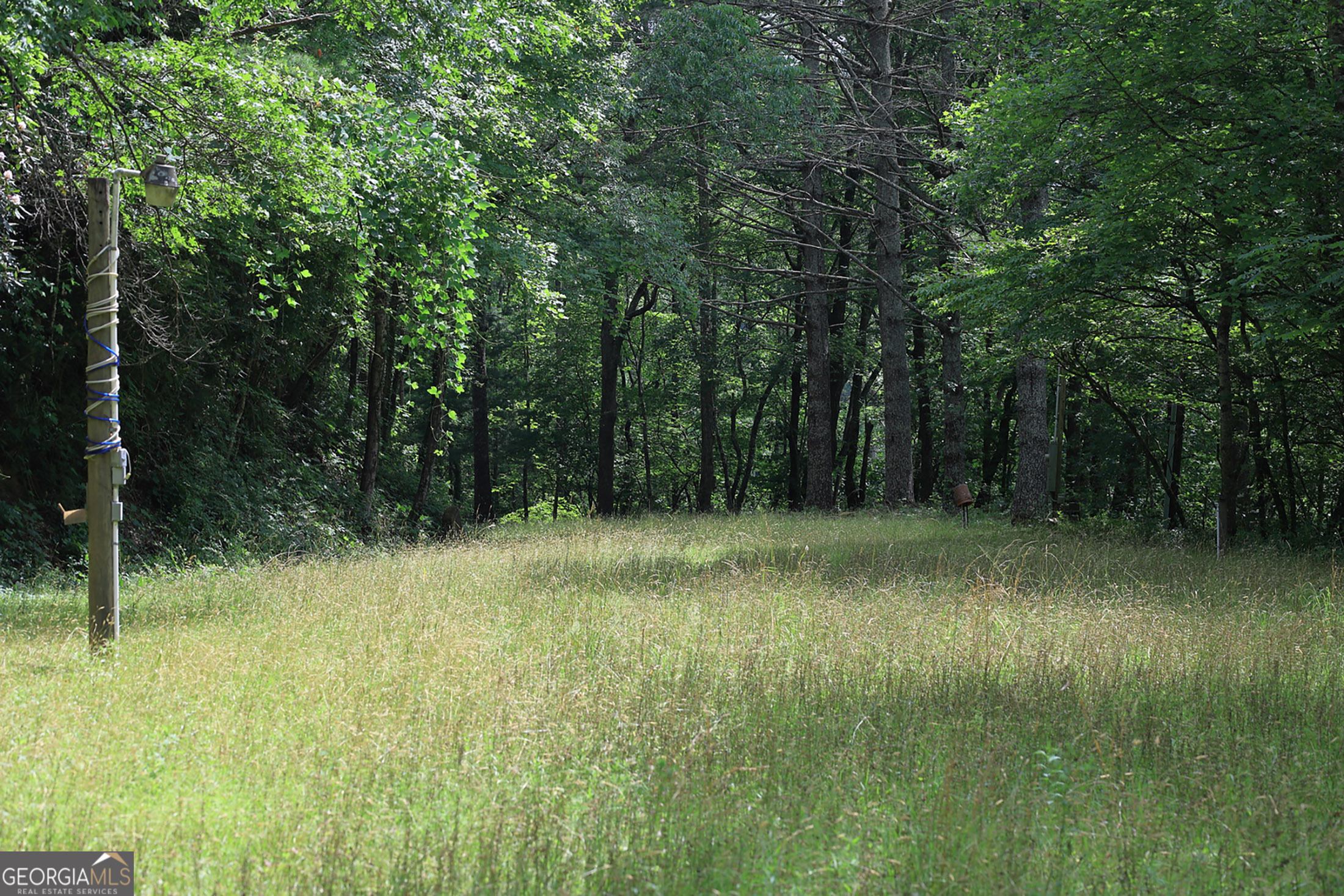 29 Cool Spring Lane Clayton, GA 30525 - Photo 5 of 15 a view of outdoor space and yard