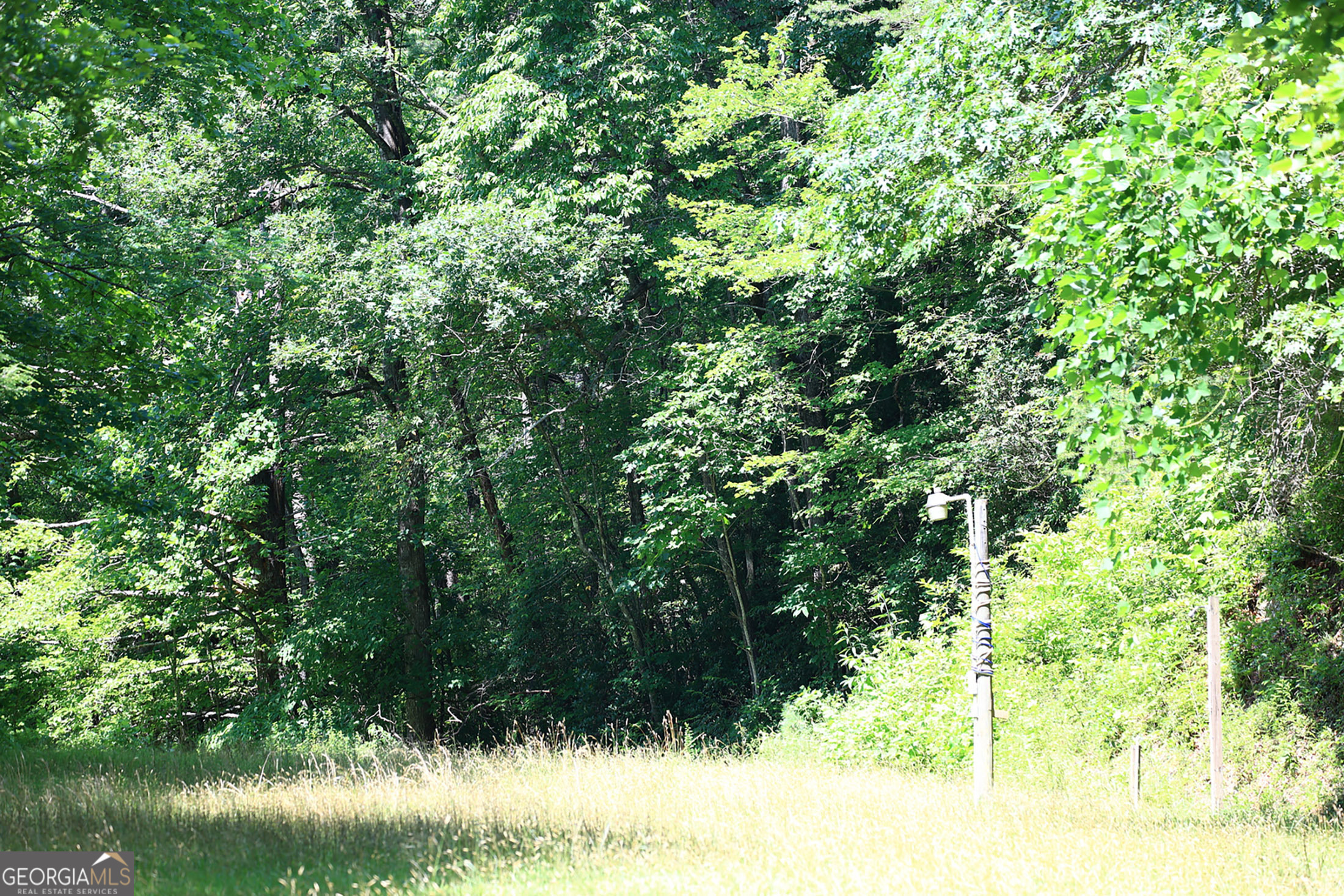 29 Cool Spring Lane Clayton, GA 30525 - Photo 6 of 15 a view of a yard