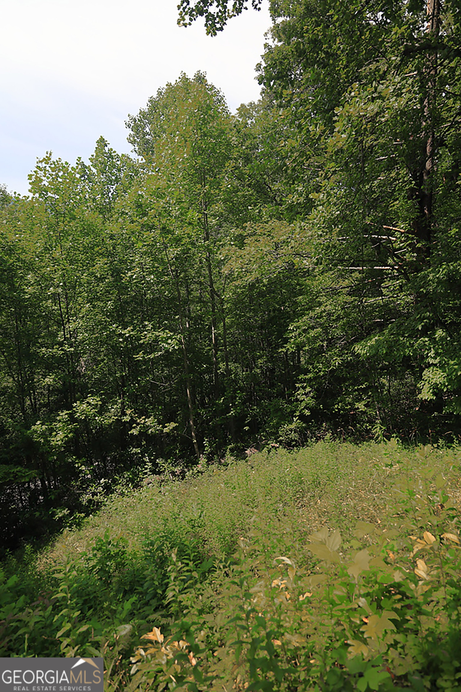 29 Cool Spring Lane Clayton, GA 30525 - Photo 9 of 15 a view of a lake view