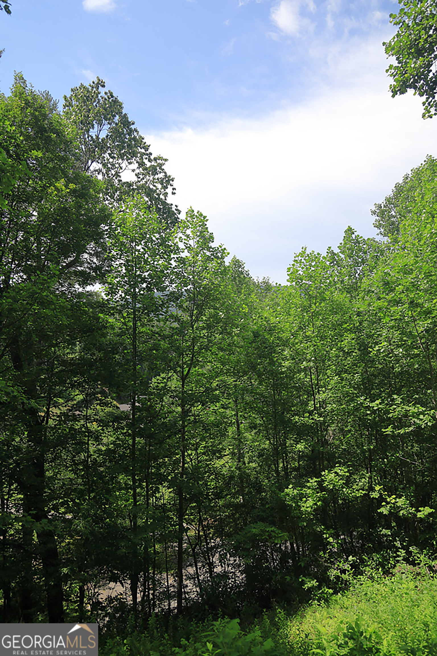 29 Cool Spring Lane Clayton, GA 30525 - Photo 10 of 15 a view of a large yard with lots of green space