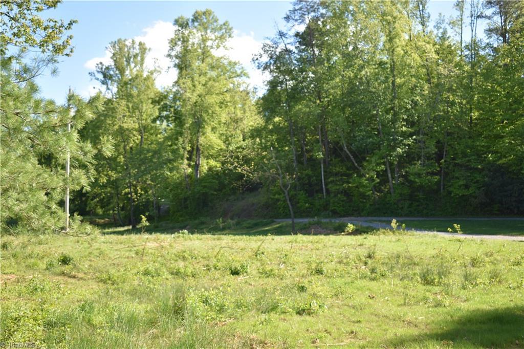 10942 Haystack Road Thurmond, NC 28683 - Photo 6 of 29 Gallery Image 6