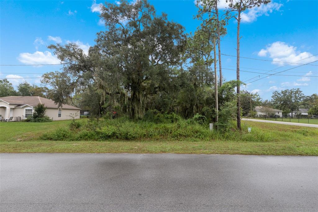 10 Lot Ocala, FL 34472 - Photo 2 of 19
