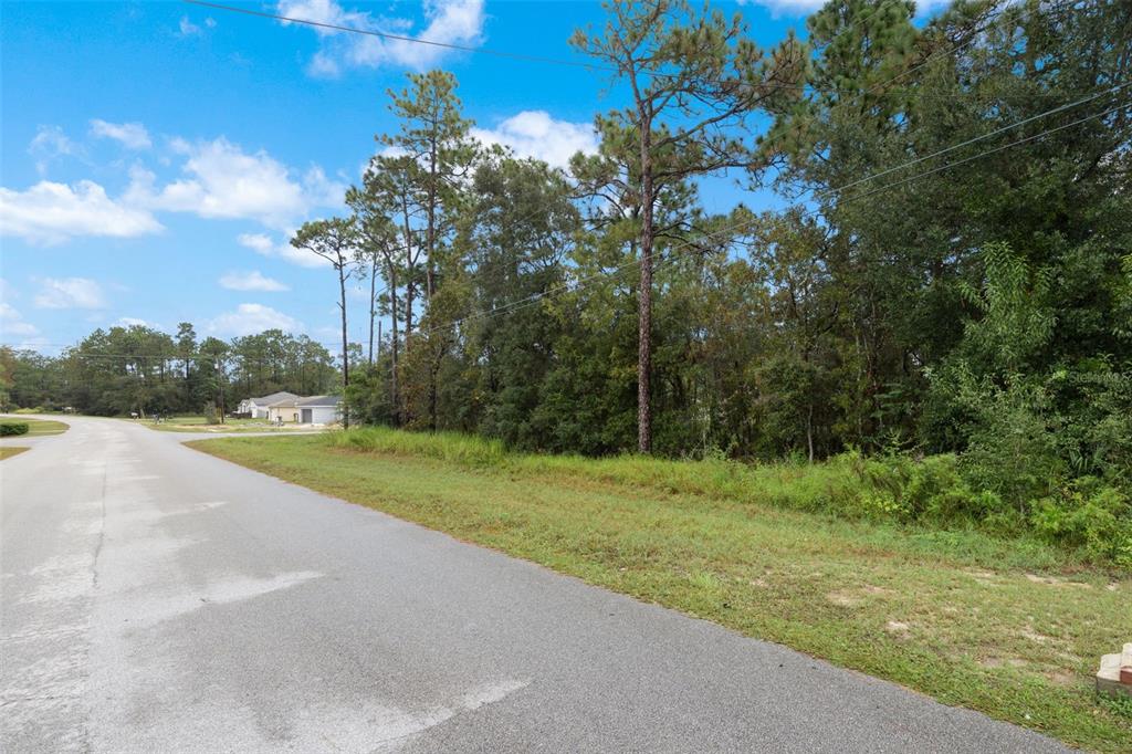 10 Lot Ocala, FL 34472 - Photo 5 of 19