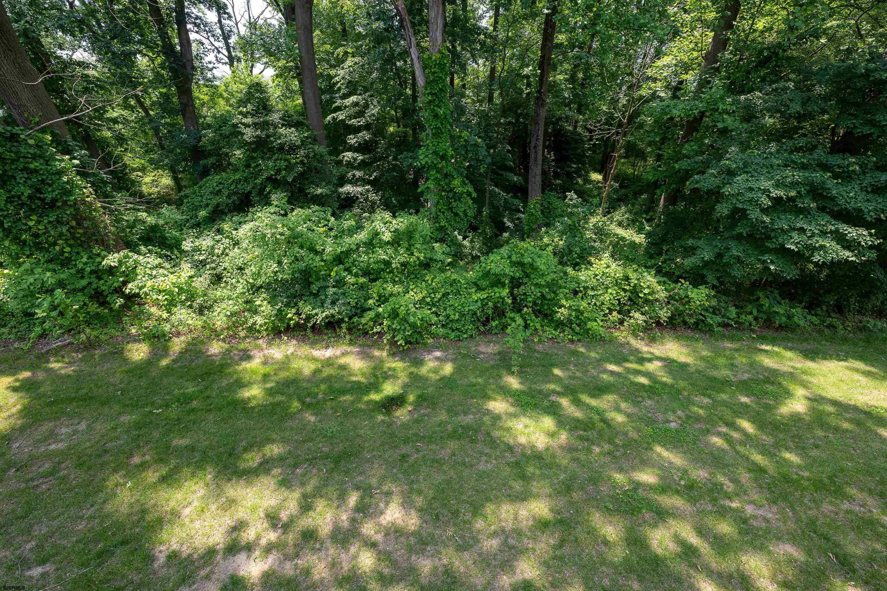 18 Lilac Circle Mount Laurel, NJ 08054 - Photo 43 of 52 a view of a lush green forest