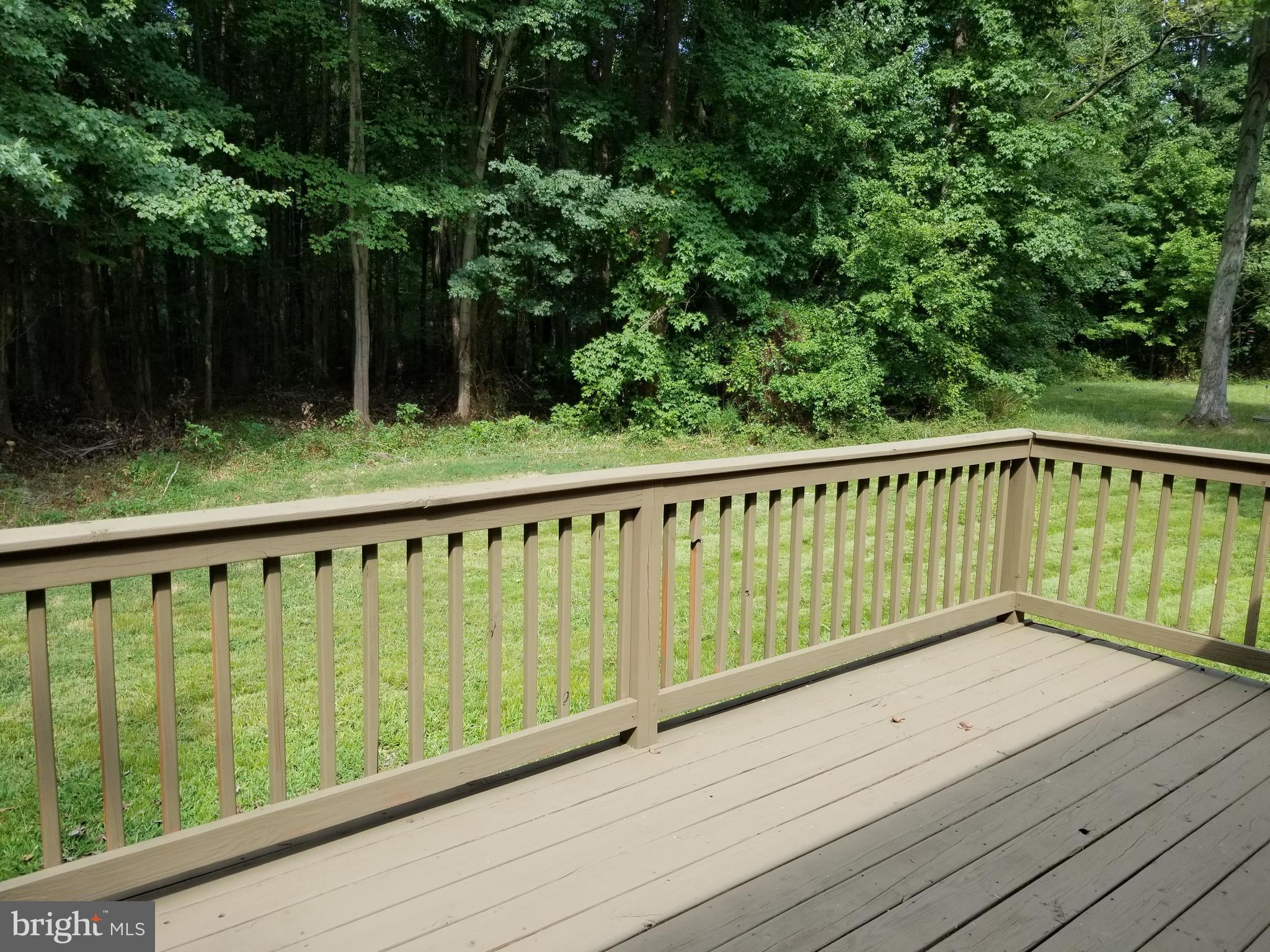 23348 Vireo Road Chestertown, MD 21620 - Photo 6 of 6 Deck backing to Trees
