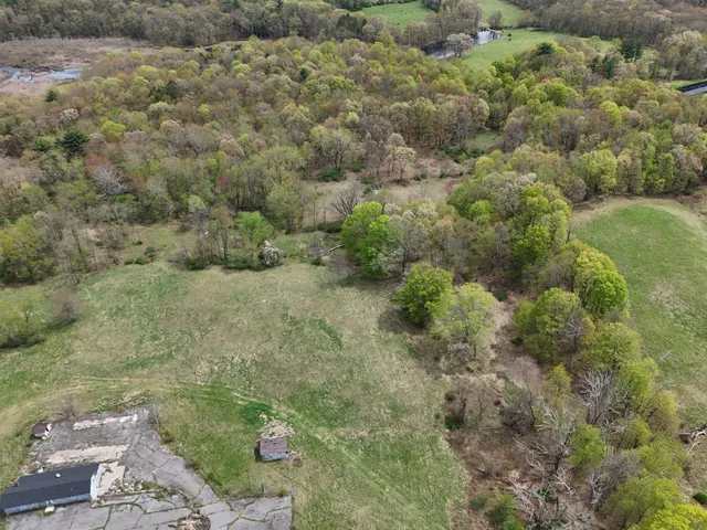 a view of a dry yard with large trees