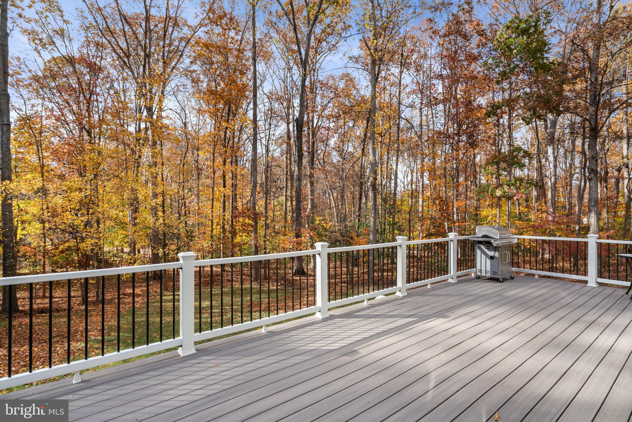 15 Riva Ridge Drive Stafford, VA 22556 - Photo 34 of 49 Composite deck w/ vinyl rails + wooded views