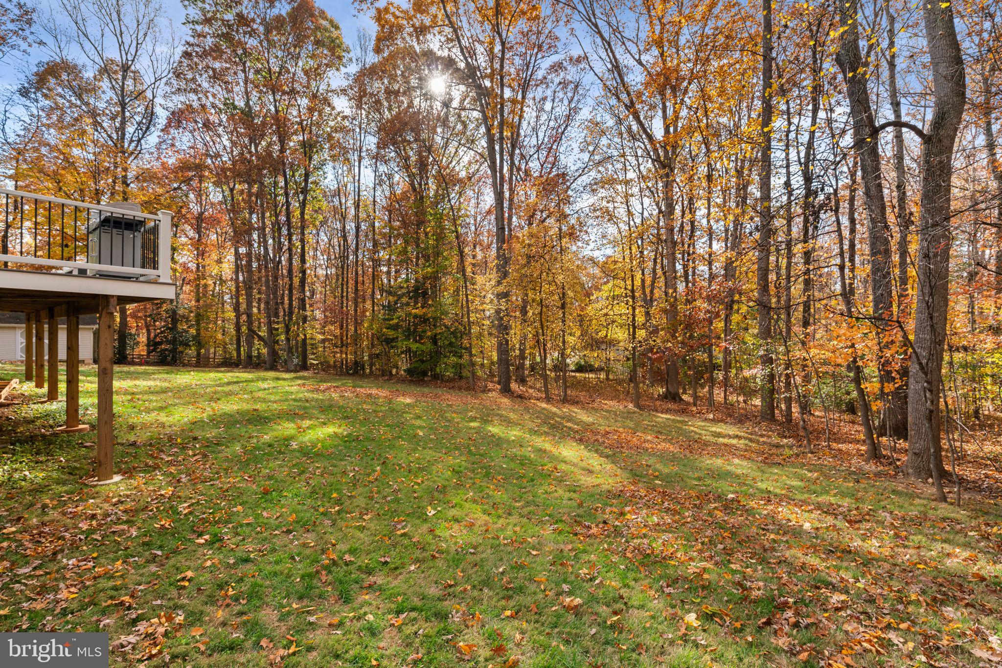 15 Riva Ridge Drive Stafford, VA 22556 - Photo 37 of 49 Expansive rear yard w/ serene forest views