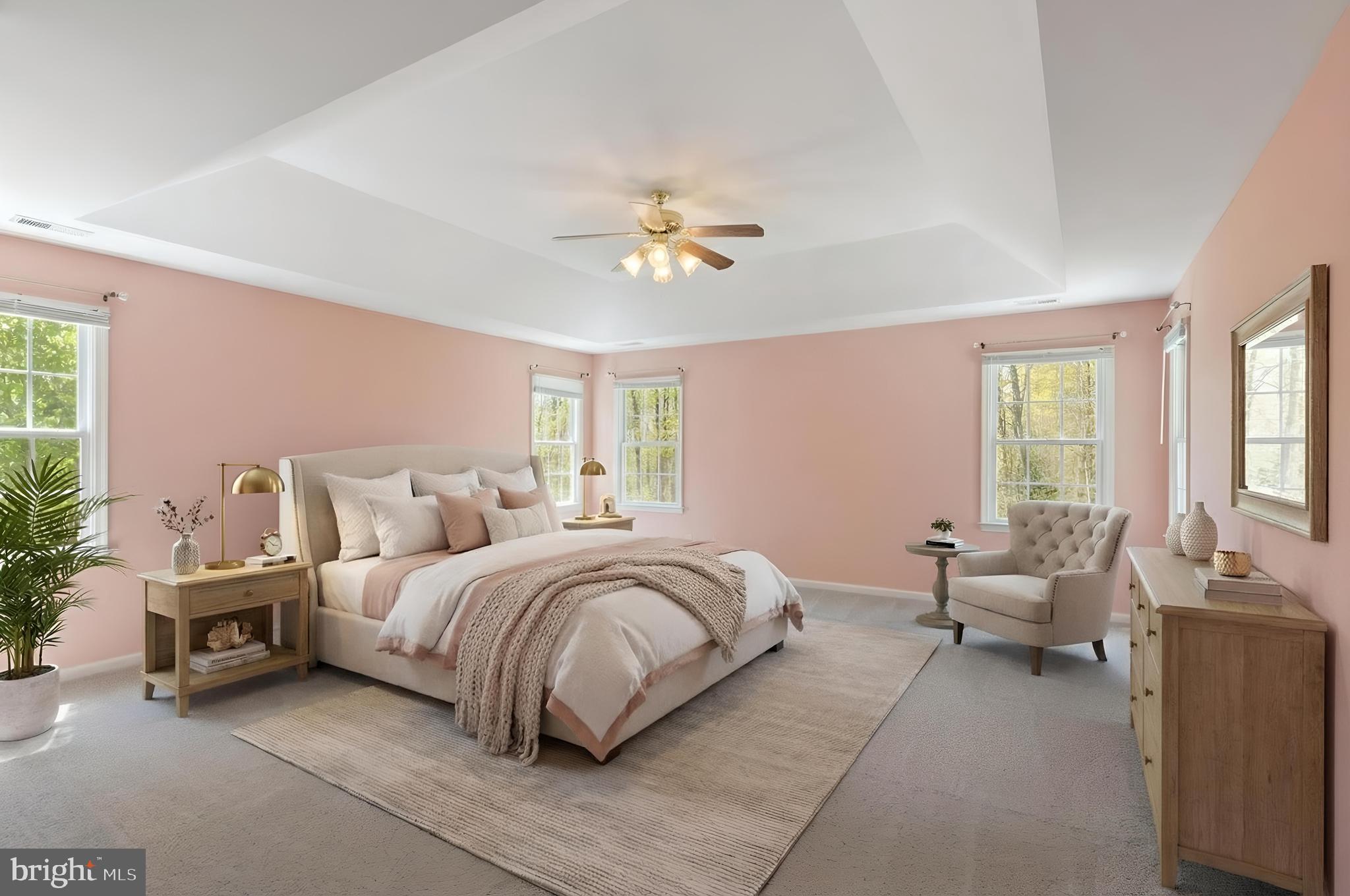 15 Riva Ridge Drive Stafford, VA 22556 - Photo 4 of 49 Luxurious primary suite with tray ceiling