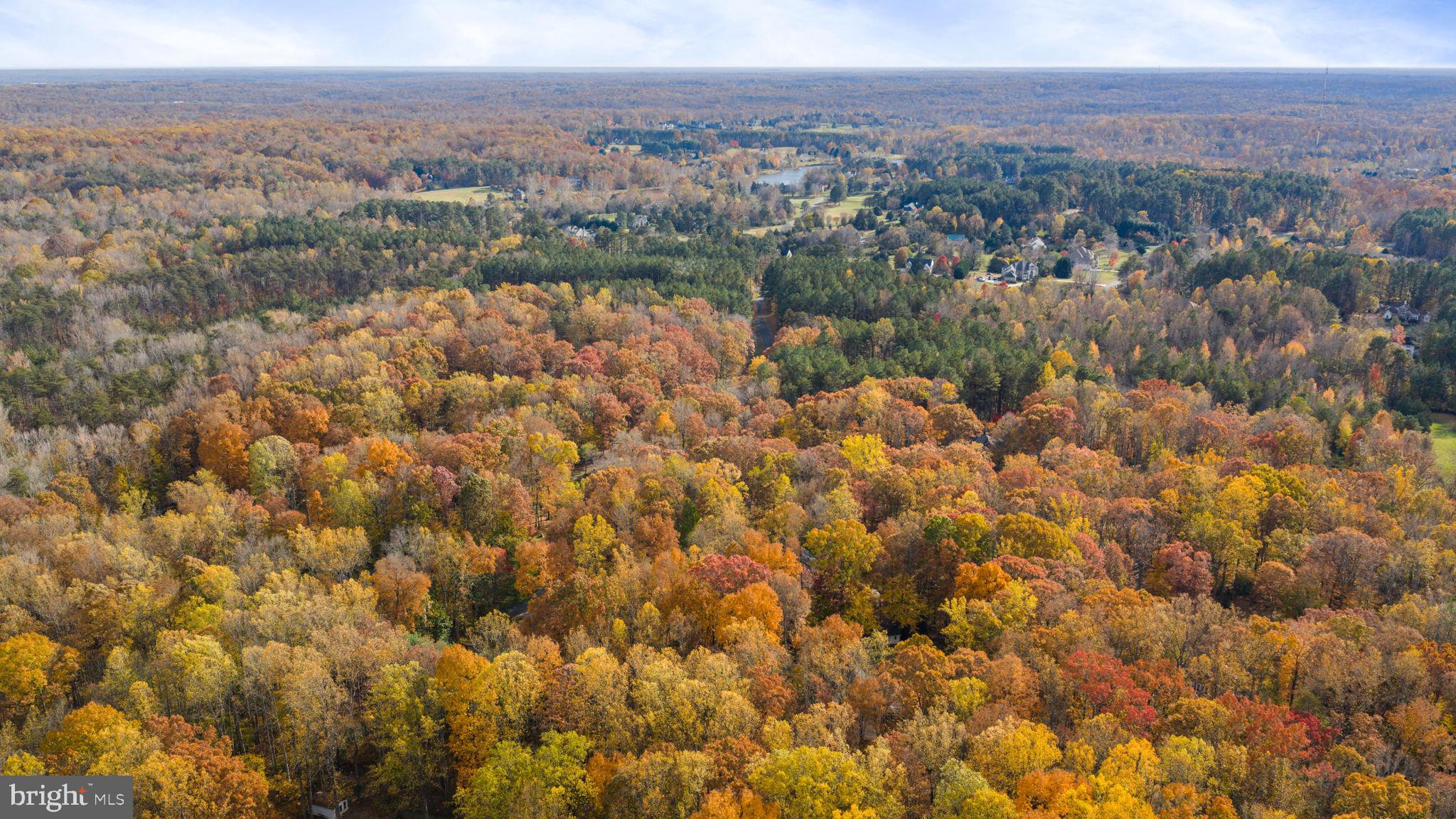 15 Riva Ridge Drive Stafford, VA 22556 - Photo 42 of 49 Private setting surrounded by vibrant fall trees