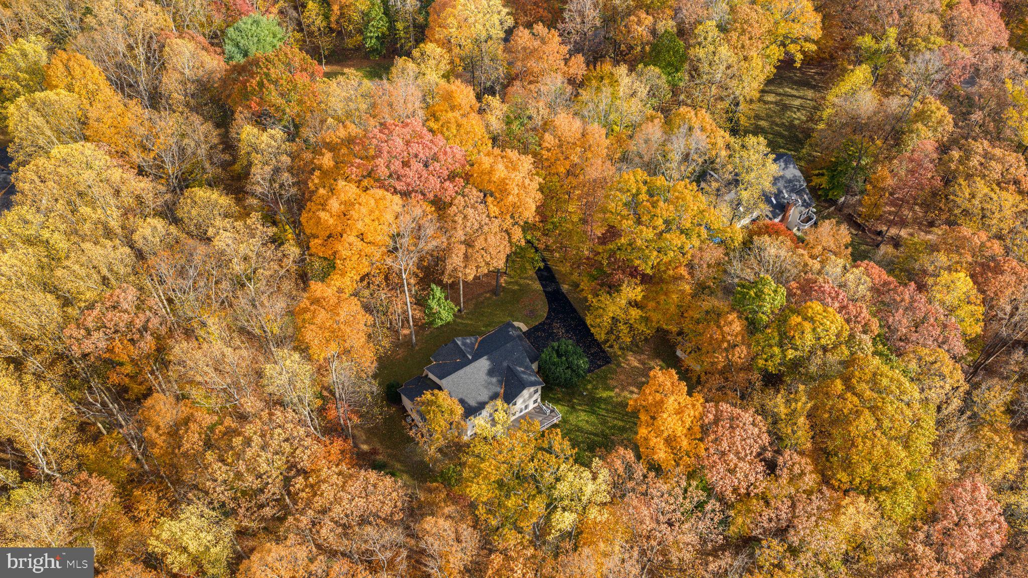 15 Riva Ridge Drive Stafford, VA 22556 - Photo 44 of 49 Tranquil wooded hideaway near town conveniences