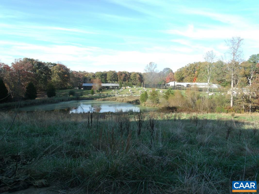 1651 South Constitution Route Dillwyn, VA 23936 - Photo 3 of 13 a view of lake with mountain