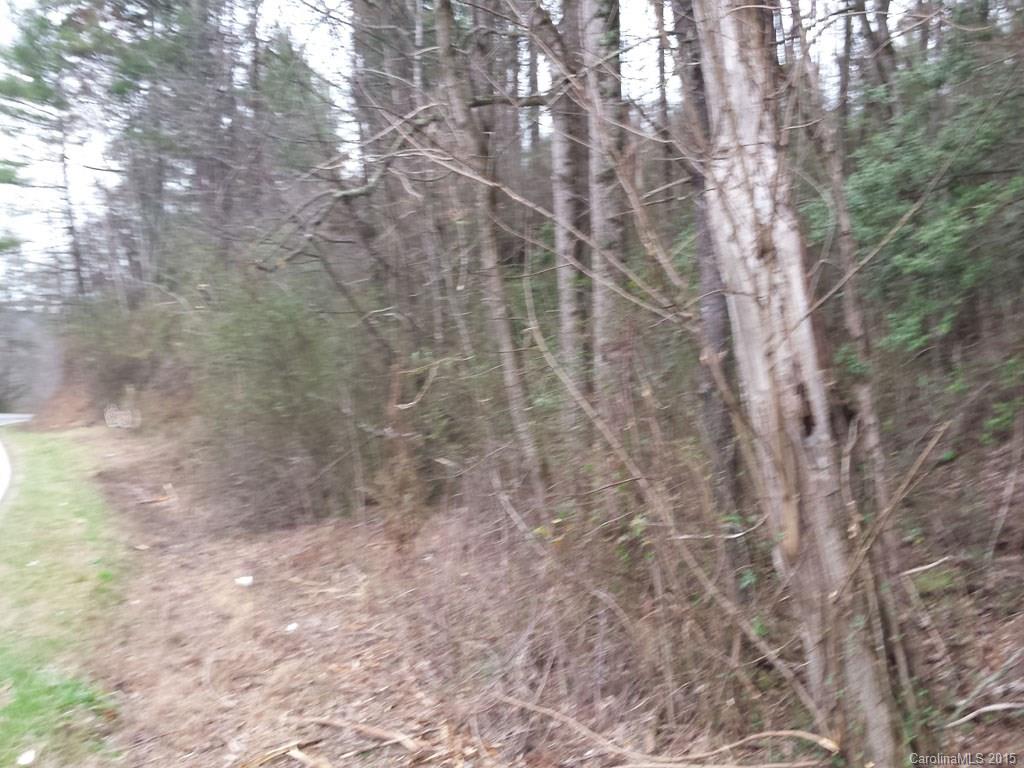 232 Gap Creek Road Fletcher, NC 28732 - Photo 3 of 5 Gallery Image 3
