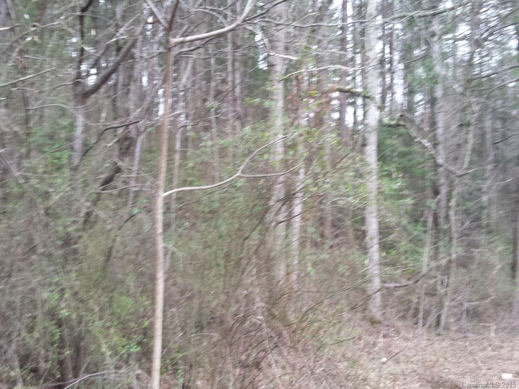 232 Gap Creek Road Fletcher, NC 28732 - Photo 4 of 5 Gallery Image 4