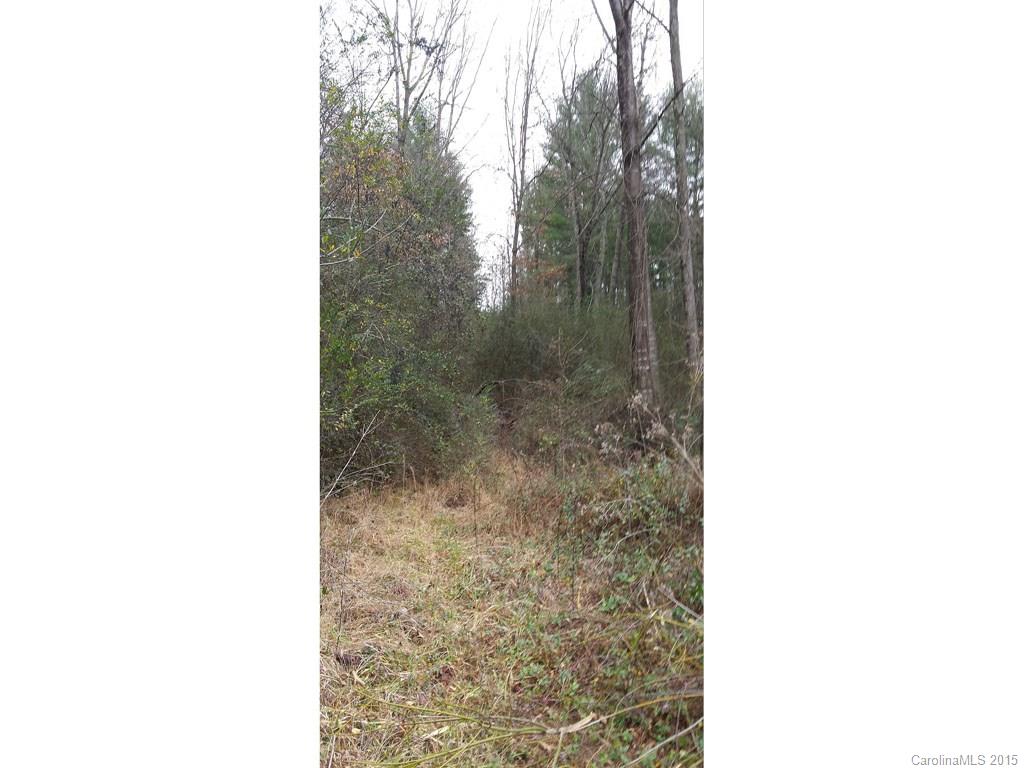 232 Gap Creek Road Fletcher, NC 28732 - Photo 5 of 5 Gallery Image 5