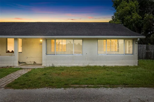 a view of a backyard with plants and palm trees