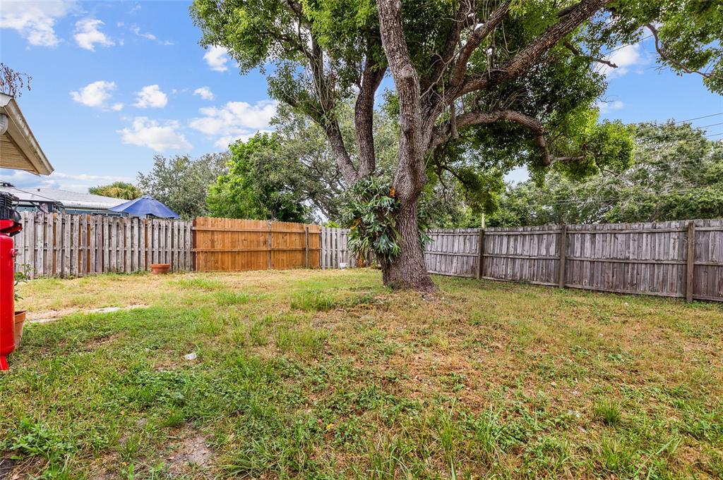 2196 Bell Cheer Drive Clearwater, FL 33764 - Photo 53 of 55 a view of a backyard with tree s