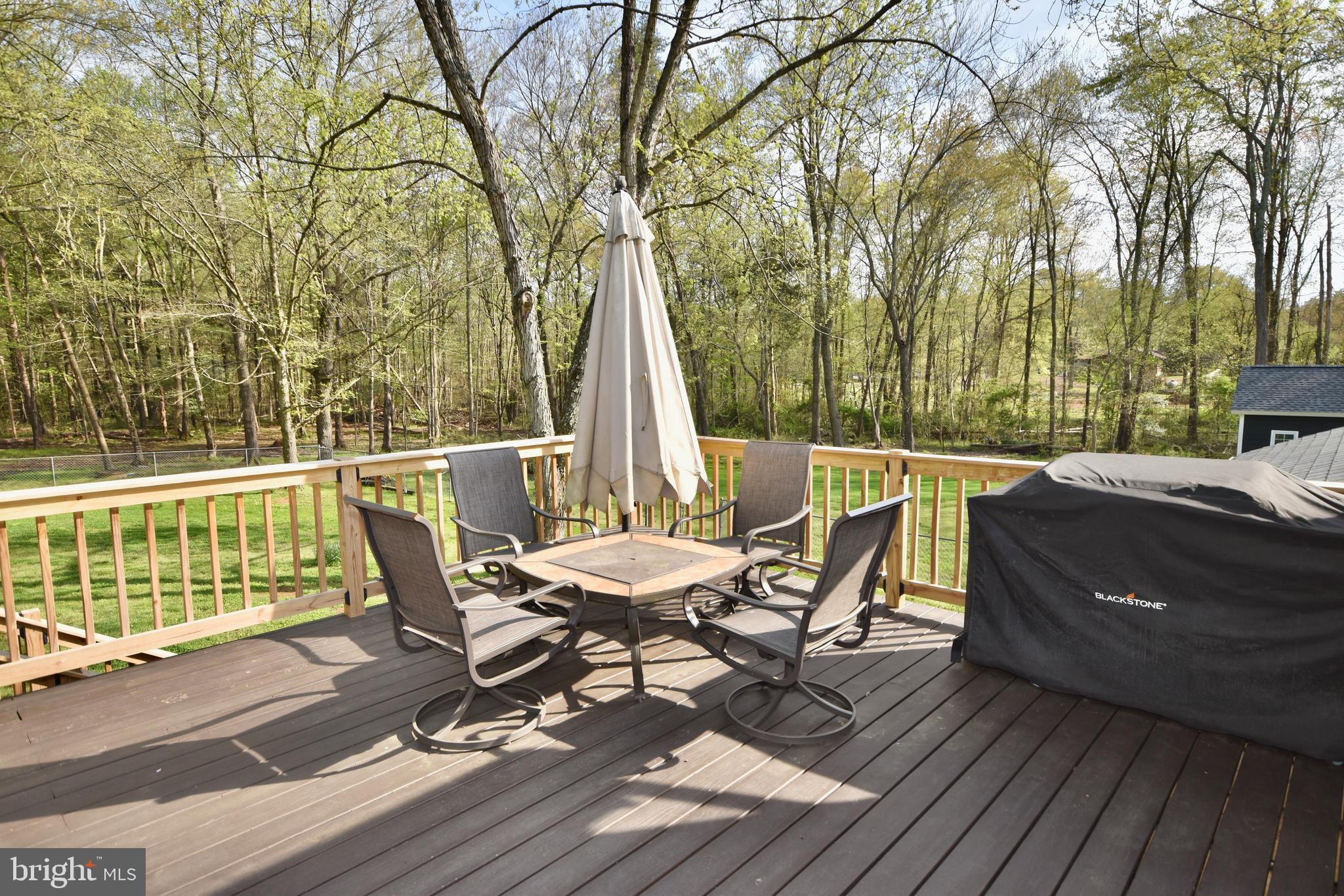 5297 Balls Mill Road Midland, VA 22728 - Photo 4 of 29 Gallery Image 4