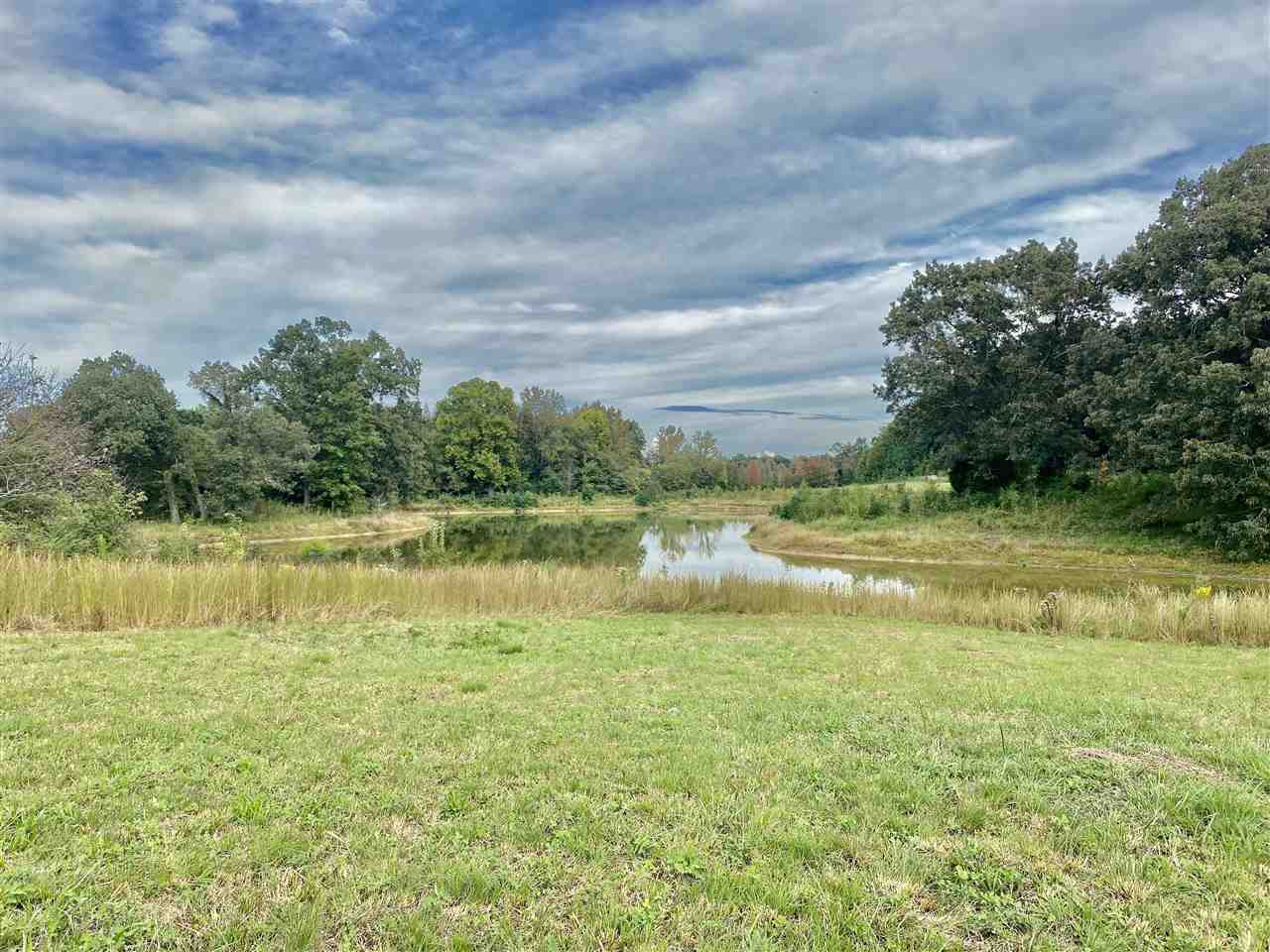 27 Price Road Moscow, TN 38057 - Photo 11 of 13 Gallery Image 11