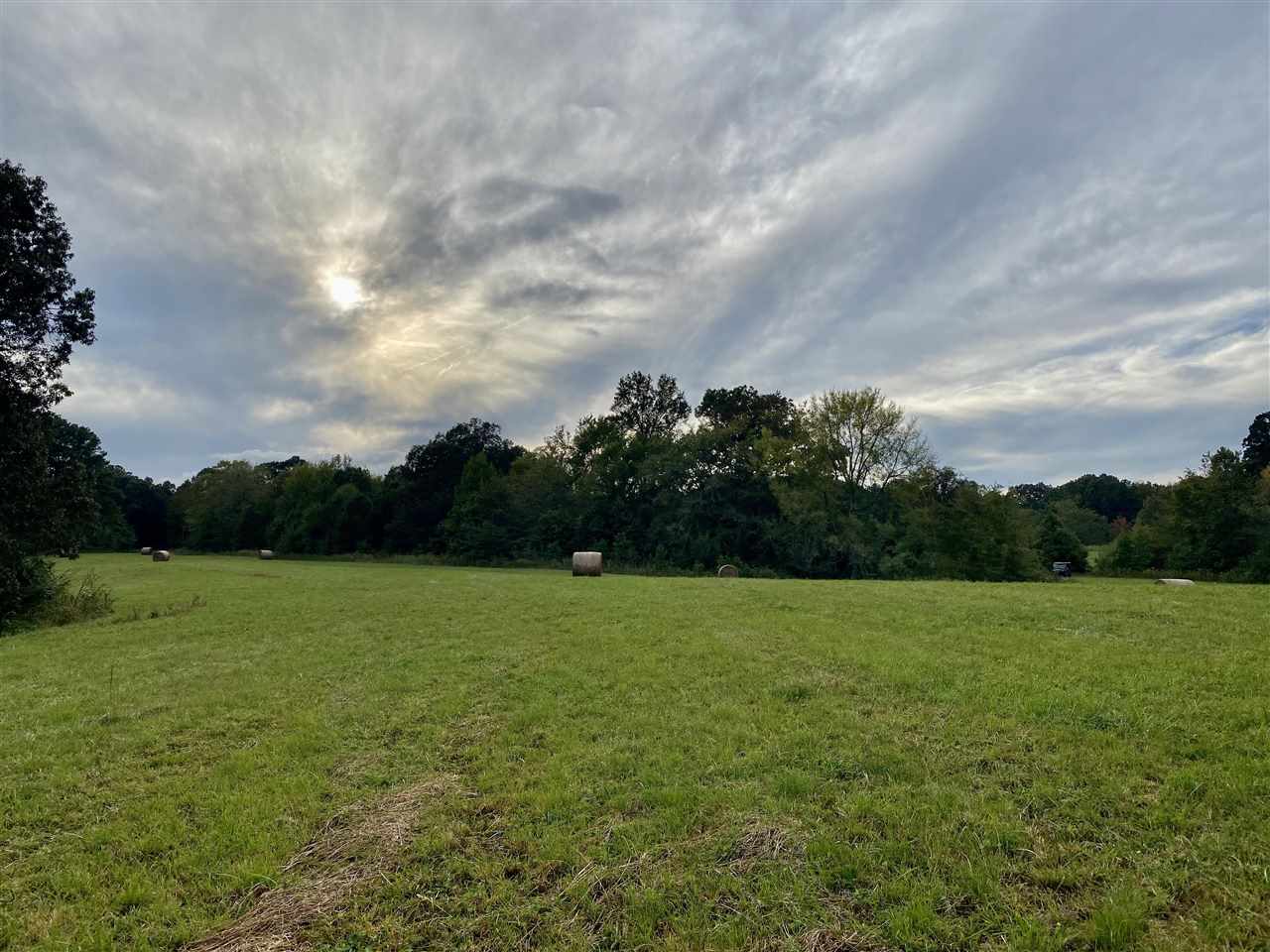 27 Price Road Moscow, TN 38057 - Photo 6 of 13 Gallery Image 6