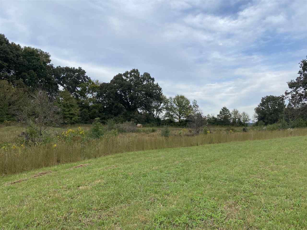 27 Price Road Moscow, TN 38057 - Photo 10 of 13 Gallery Image 10