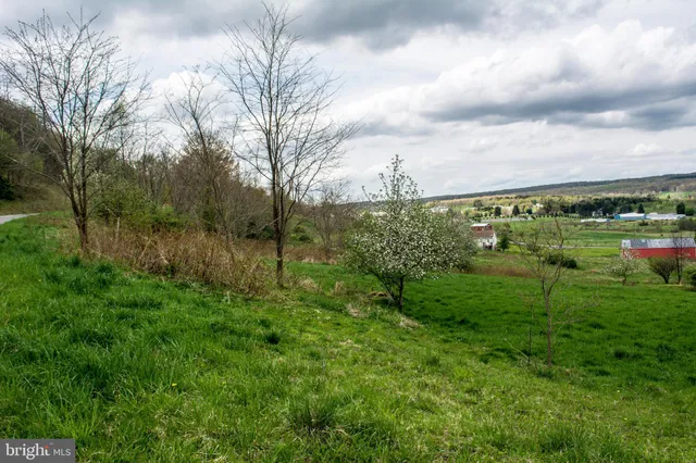 $18,000 | Lot 46 Smiley Face Lane, McHenry, MD 21541