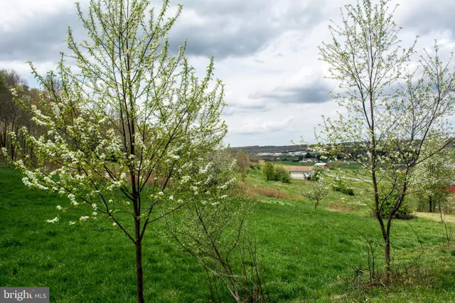 $18,000 | Lot 46 Smiley Face Lane, McHenry, MD 21541