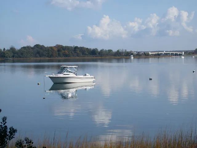 a lake view with boat and trees in the background