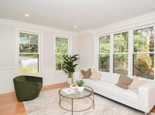 a living room with furniture and a potted plant