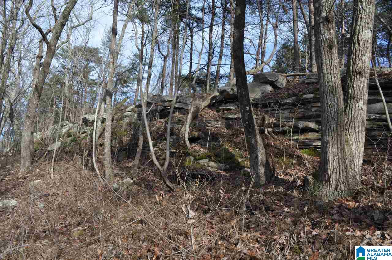 89 North County Road Mentone, AL 35984 - Photo 15 of 18
