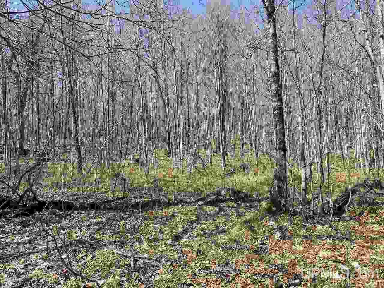 Off Nelson Road Glidden, WI 54527 - Photo 22 of 23