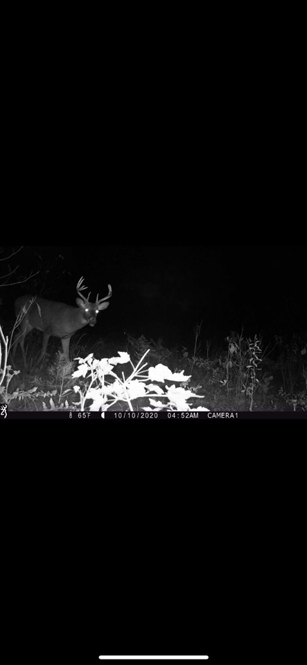 00 Sullivan Road Fremont, MI 49412 - Photo 27 of 32