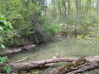 Gibbs Road Louisville, TN 37777 - Photo 6 of 13 Small Pond/Lake