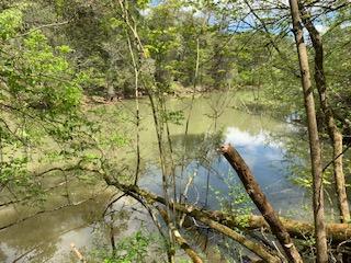 Gibbs Road Louisville, TN 37777 - Photo 7 of 13 Small Pond/Lake