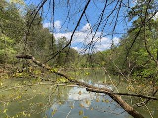 Gibbs Road Louisville, TN 37777 - Photo 8 of 13 Small Pond/Lake
