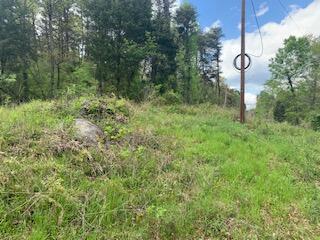 Gibbs Road Louisville, TN 37777 - Photo 10 of 13 Power Line clearing 1