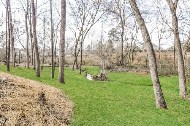 a view of a garden with trees
