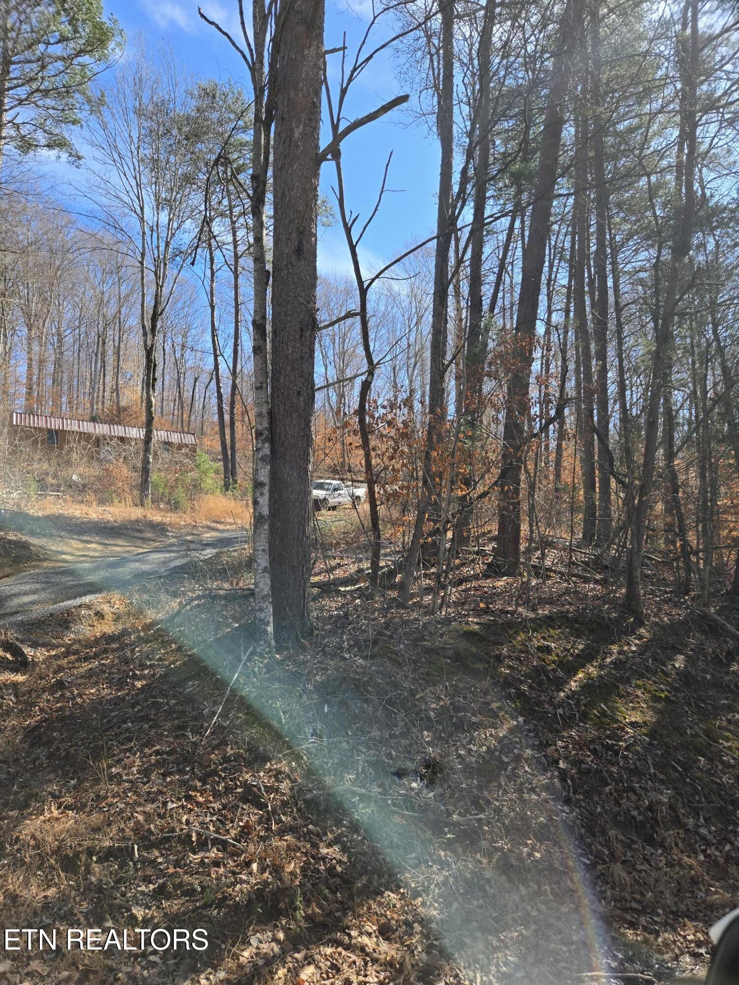 204 Archer Road Luttrell, TN 37779 - Photo 2 of 15 20260220_131941